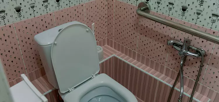 Meeting Diverse Needs With Accessible Restroom Solutions in Santa Paula, CA